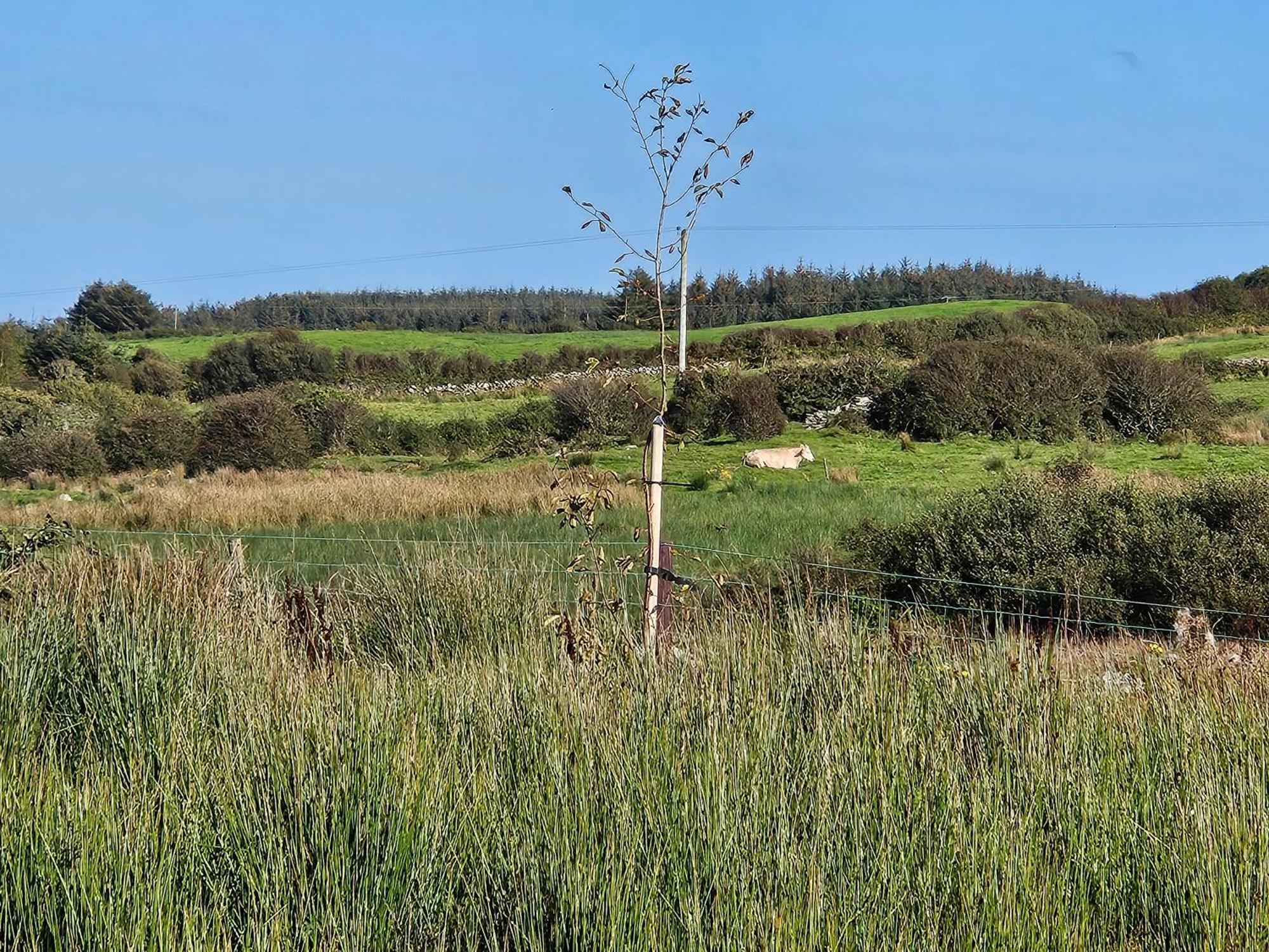 Suaimhneas Lahinch Exterior foto